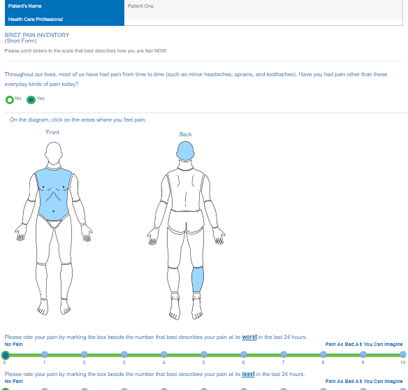 Showing the Brief Pain Inventory Form